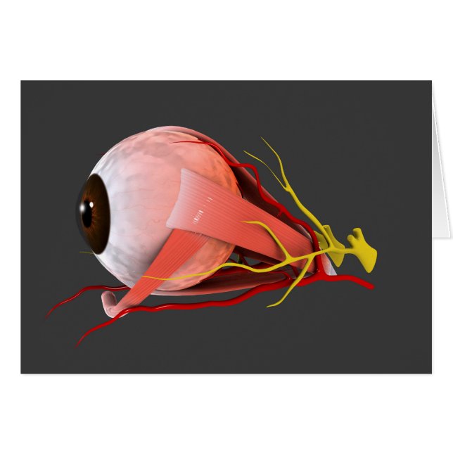 Konceptuell bild av mänskligt Öga-anatomi 2 Hälsningskort (Framsidan Horizontal)