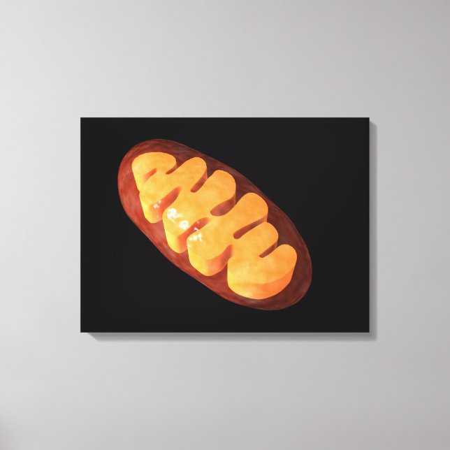 Konceptuell bild av Mitochondria 1 (Framsida)