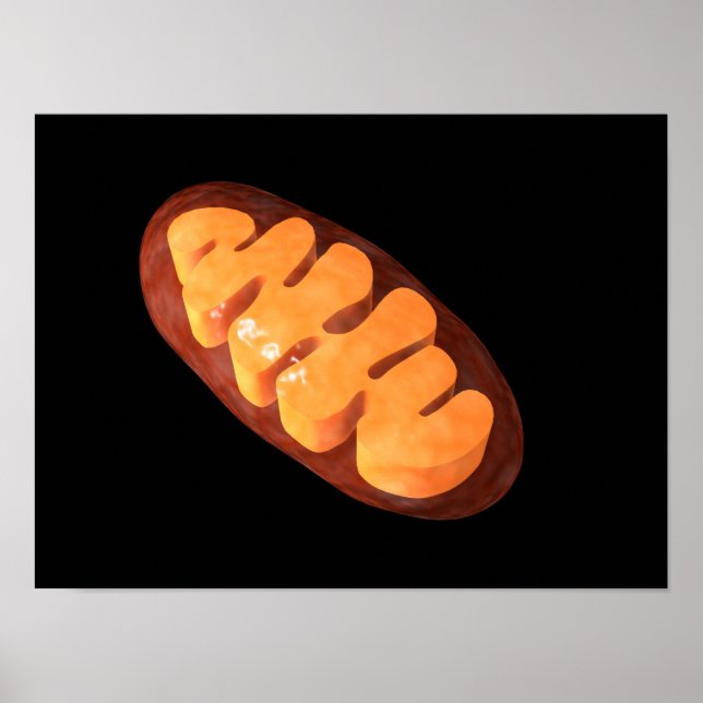 Konceptuell bild av Mitochondria 1 Poster (Framsidan)