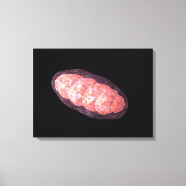 Konceptuell bild av Mitochondria 2 (Framsida)