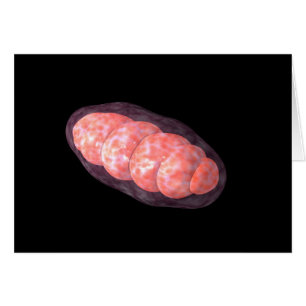 Konceptuell bild av Mitochondria 2 Hälsningskort