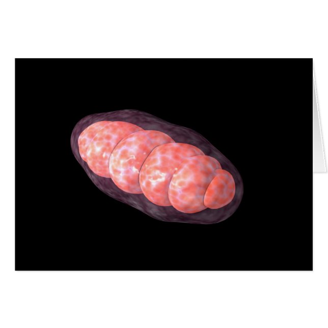 Konceptuell bild av Mitochondria 2 Hälsningskort (Framsidan Horizontal)
