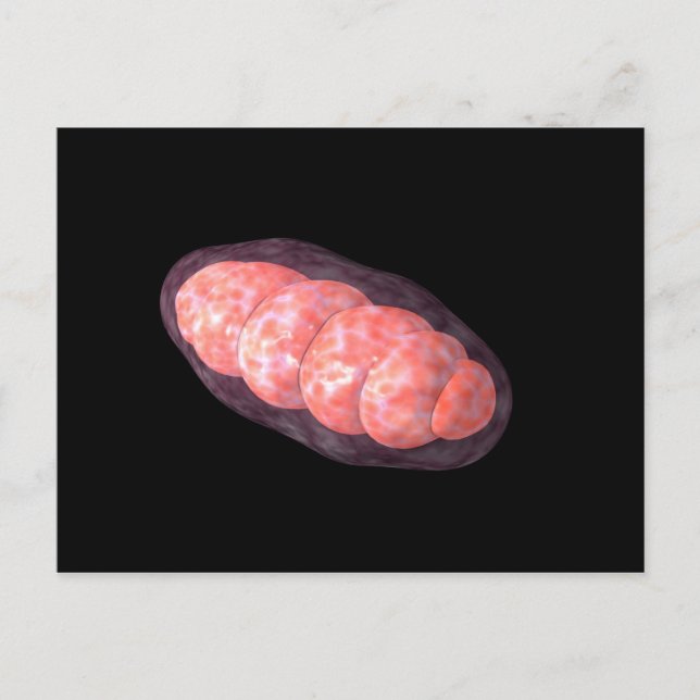 Konceptuell bild av Mitochondria 2 Vykort (Framsida)