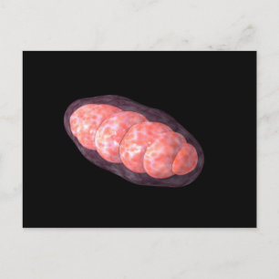 Konceptuell bild av Mitochondria 2 Vykort