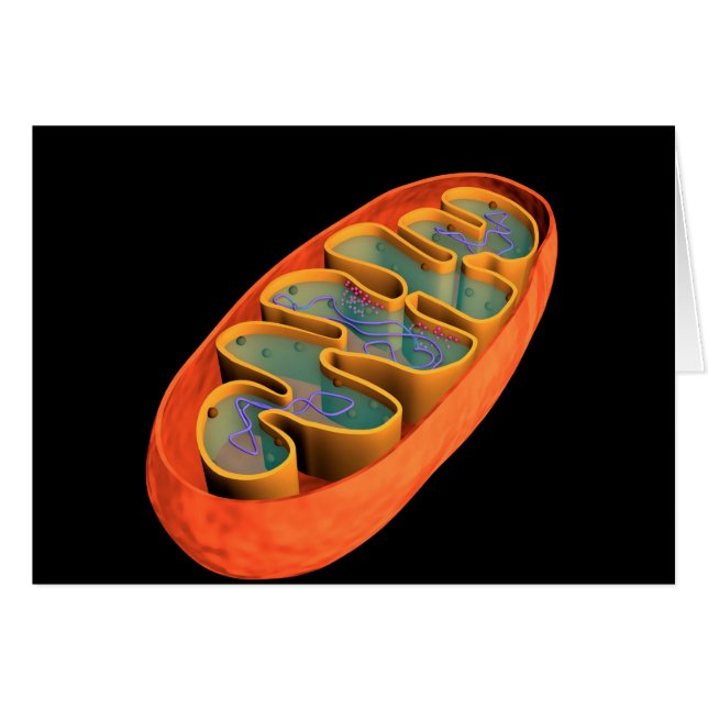 Konceptuell bild av Mitochondria 3 Hälsningskort (Framsidan Horizontal)