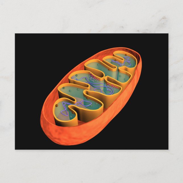 Konceptuell bild av Mitochondria 3 Vykort (Framsida)