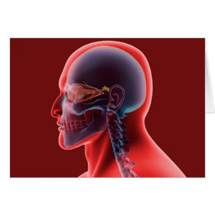 Konceptuell bild av Öga och skal Hälsningskort