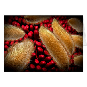 Konceptuell bild av paramecium 1 hälsningskort