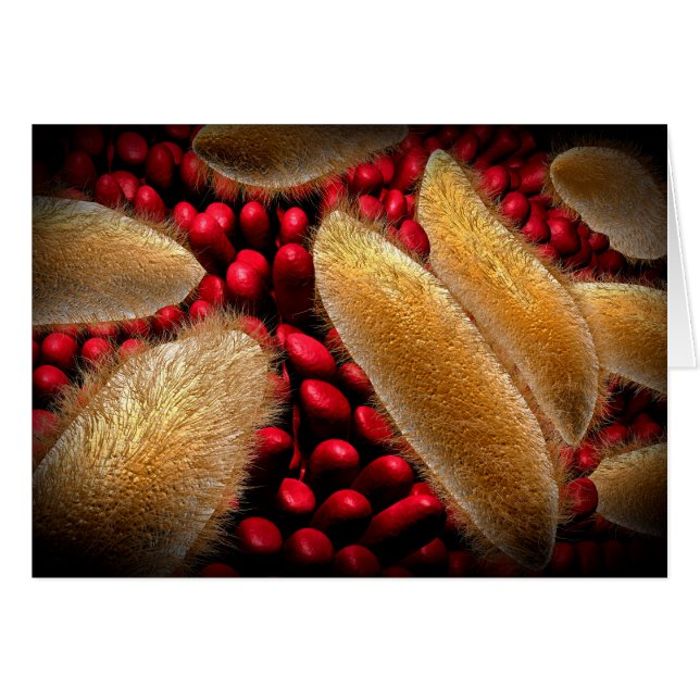 Konceptuell bild av paramecium 1 hälsningskort (Framsidan Horizontal)