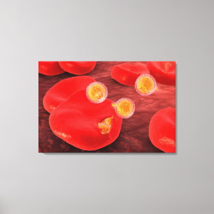 Konceptuell bild av paramecium 2