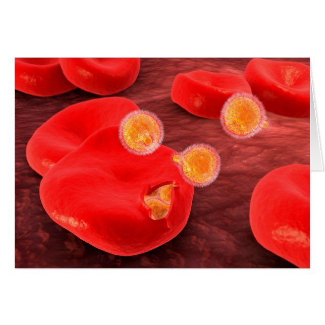 Konceptuell bild av paramecium 2 hälsningskort (Framsidan Horizontal)