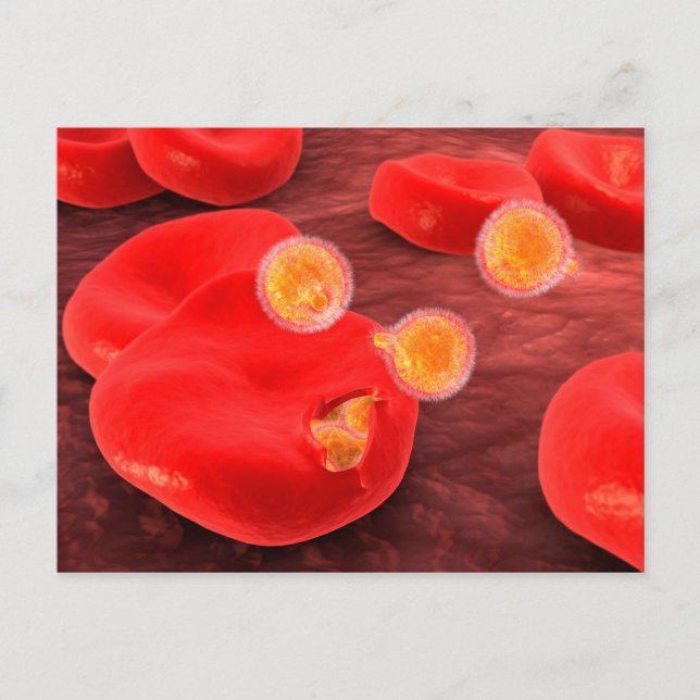 Konceptuell bild av paramecium 2 vykort (Framsida)
