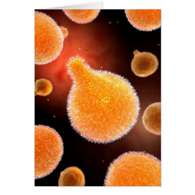 Konceptuell bild av plasmodium som orsakar malaria hälsningskort (Framsidan)
