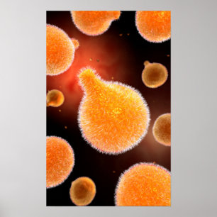 Konceptuell bild av plasmodium som orsakar malaria poster