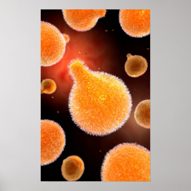 Konceptuell bild av plasmodium som orsakar malaria poster (Framsidan)