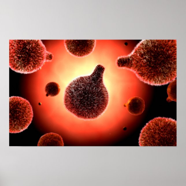 Konceptuell bild av plasmodium som orsakar malaria poster (Framsidan)
