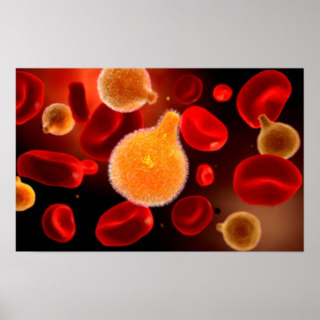 Konceptuell bild av plasmodium som orsakar malaria poster (Framsidan)
