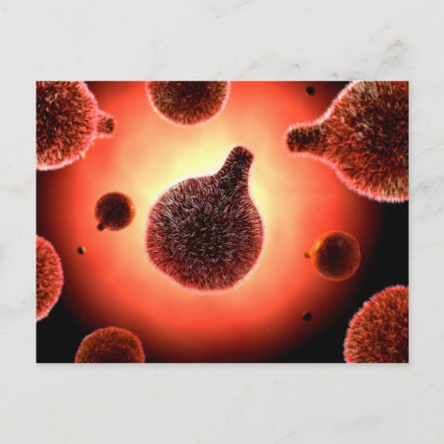 Konceptuell bild av plasmodium som orsakar malaria vykort (Framsida)