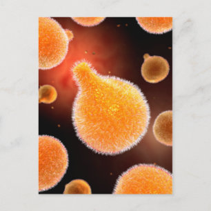 Konceptuell bild av plasmodium som orsakar malaria vykort
