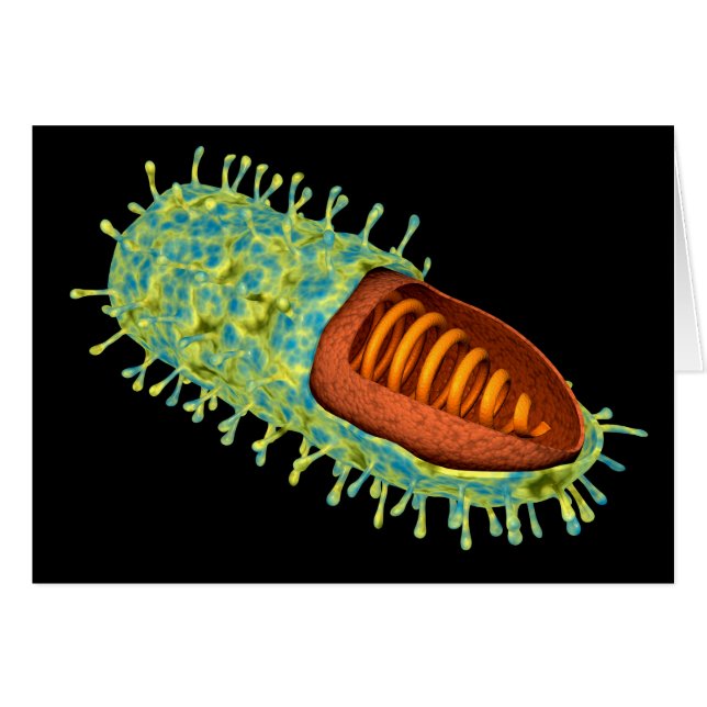 Konceptuell bild av rabiesvirus 3 hälsningskort (Framsidan Horizontal)
