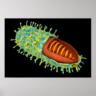 Konceptuell bild av rabiesvirus 3 poster