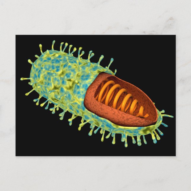 Konceptuell bild av rabiesvirus 3 vykort (Framsida)