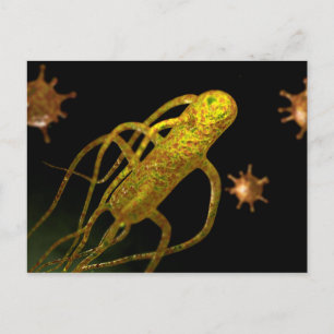 Konceptuell bild av Salmonella Typhi 1 Vykort