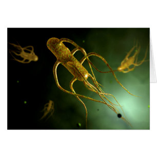 Konceptuell bild av Salmonella Typhi 2 Hälsningskort
