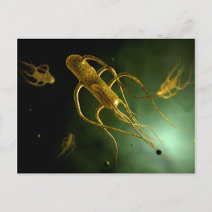 Konceptuell bild av Salmonella Typhi 2 Vykort