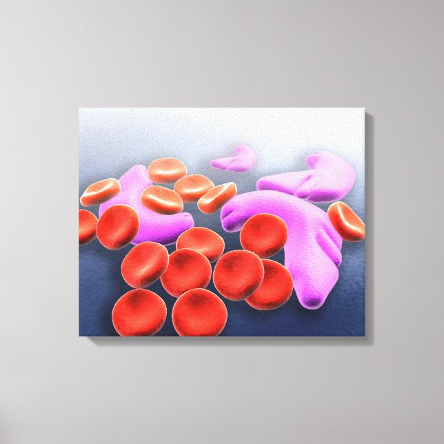 Konceptuell bild av sicklecellanemi (Framsida)