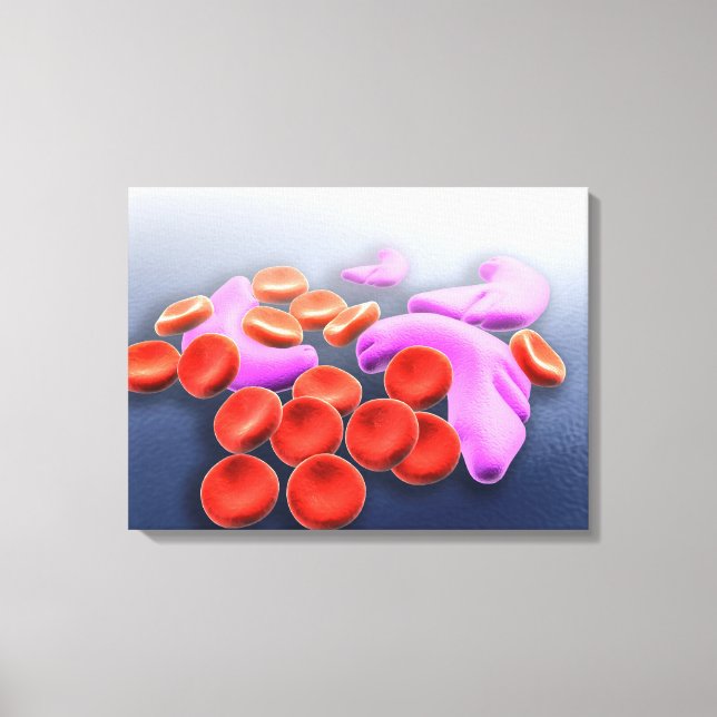 Konceptuell bild av sicklecellanemi (Framsida)