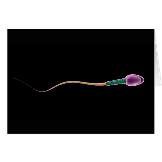 Konceptuell bild av Sperm Anatomy Hälsningskort (Framsidan Horizontal)