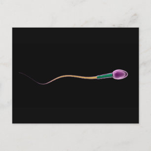 Konceptuell bild av Sperm Anatomy Vykort