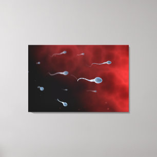 Konceptuell bild av Sperm inuti Fallopian Tube