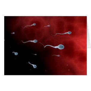 Konceptuell bild av Sperm inuti Fallopian Tube Hälsningskort