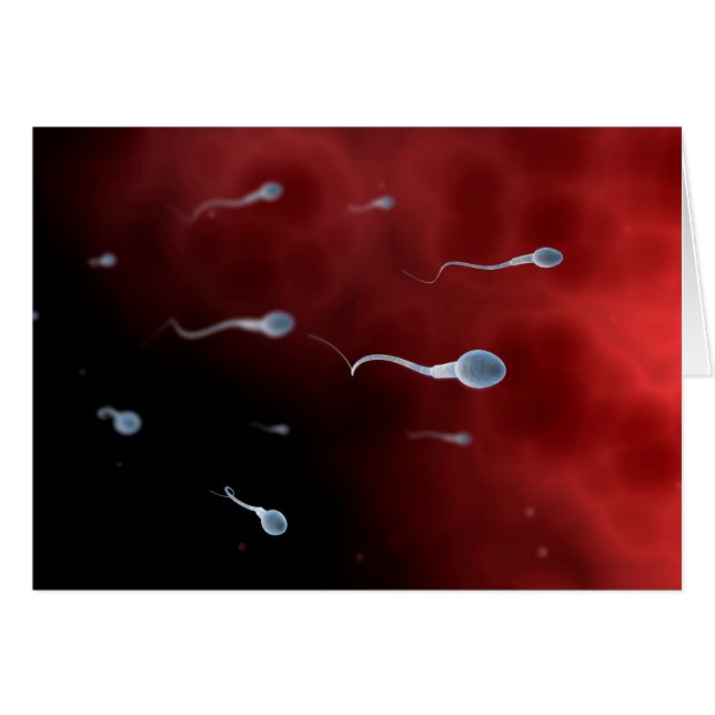 Konceptuell bild av Sperm inuti Fallopian Tube Hälsningskort (Framsidan Horizontal)