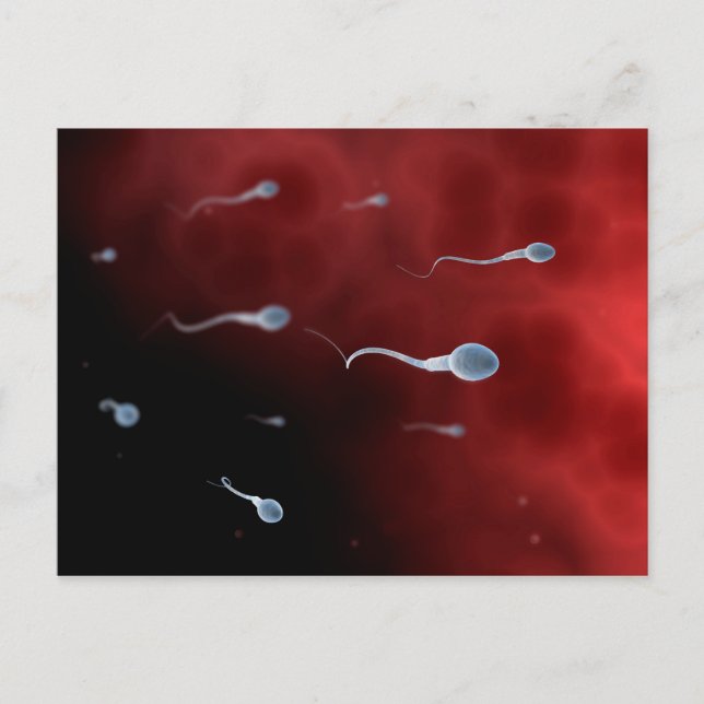 Konceptuell bild av Sperm inuti Fallopian Tube Vykort (Framsida)
