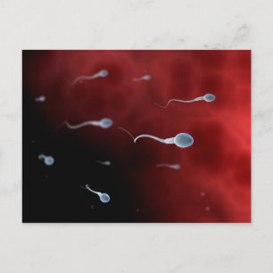 Konceptuell bild av Sperm inuti Fallopian Tube Vykort