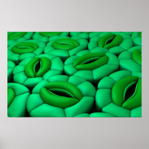 Konceptuell bild av stomata 1 poster