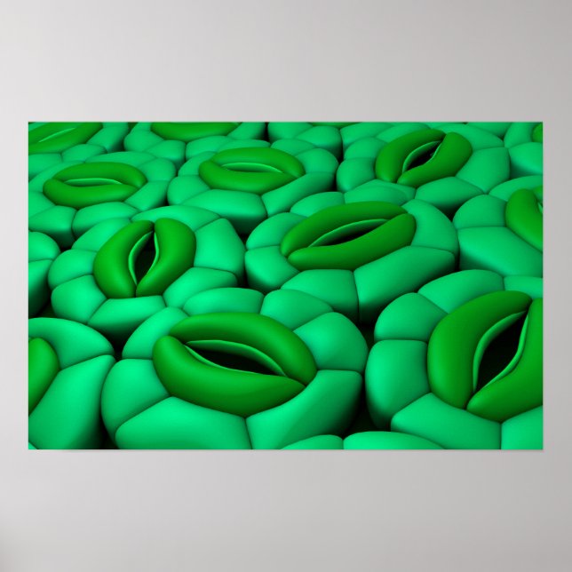 Konceptuell bild av stomata 1 poster (Framsidan)
