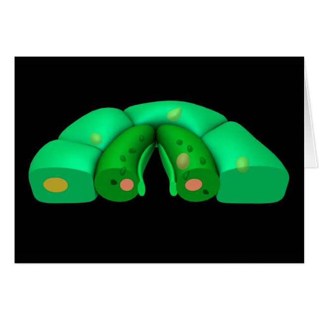 Konceptuell bild av stomata 2 hälsningskort (Framsidan Horizontal)