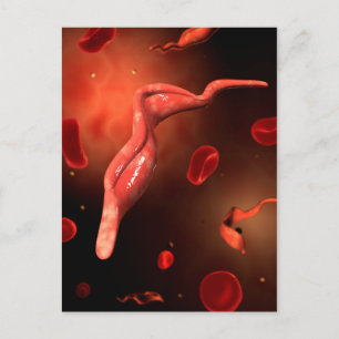 Konceptuell bild av Trypanosom 1 Vykort