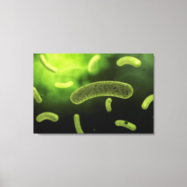 Konceptuell bild av vanliga bakterier (Framsida)