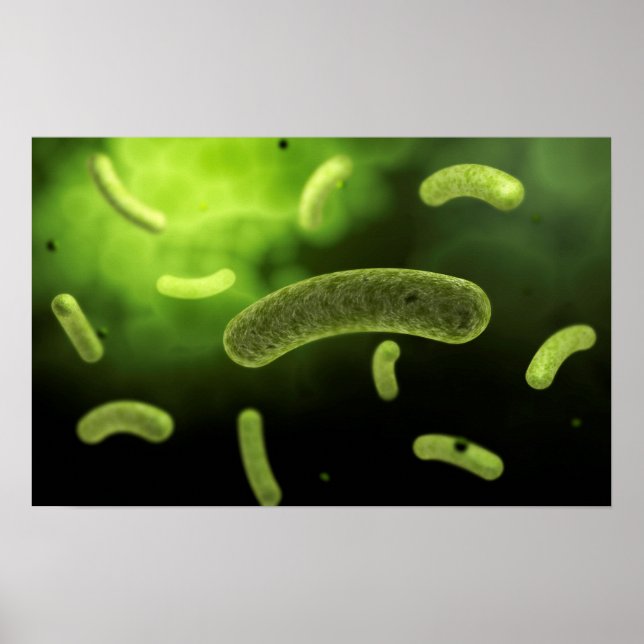 Konceptuell bild av vanliga bakterier poster (Framsidan)