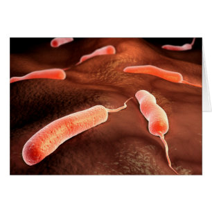 Konceptuell bild av Vibrio Cholerae 1 Hälsningskort