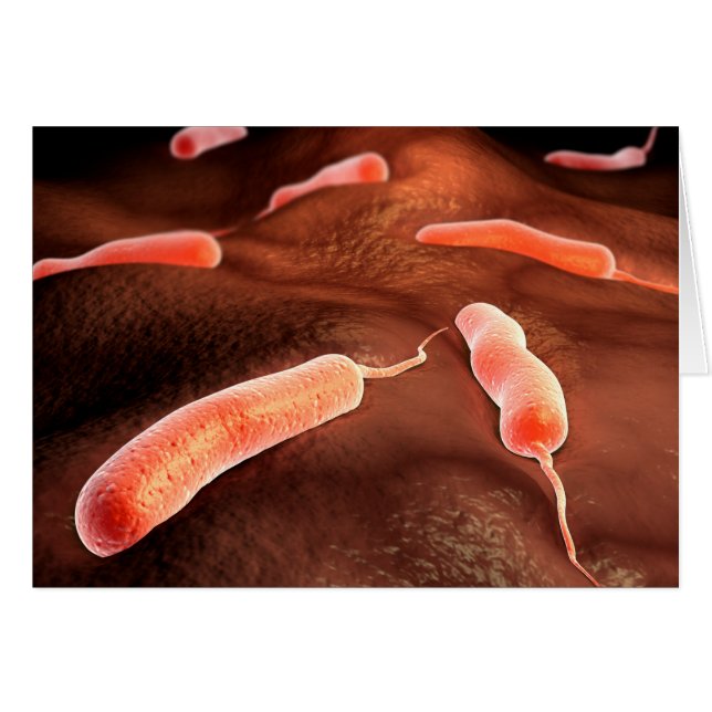 Konceptuell bild av Vibrio Cholerae 1 Hälsningskort (Framsidan Horizontal)