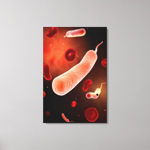 Konceptuell bild av Vibrio Cholerae 2
