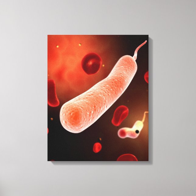 Konceptuell bild av Vibrio Cholerae 2 (Framsida)