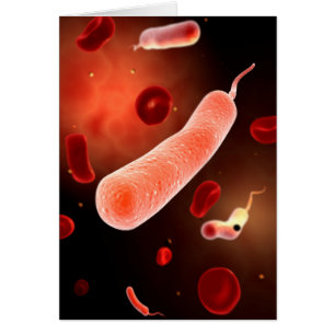 Konceptuell bild av Vibrio Cholerae 2 Hälsningskort
