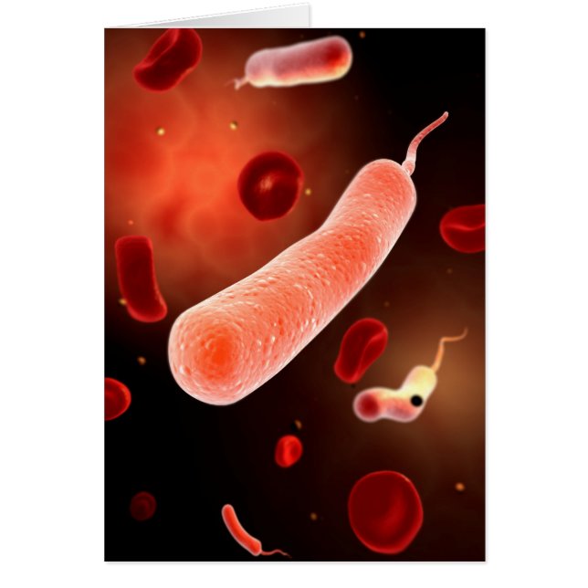 Konceptuell bild av Vibrio Cholerae 2 Hälsningskort (Framsidan)